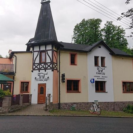 Penzion U Bileho Jaka Vilemov  Kültér fotó