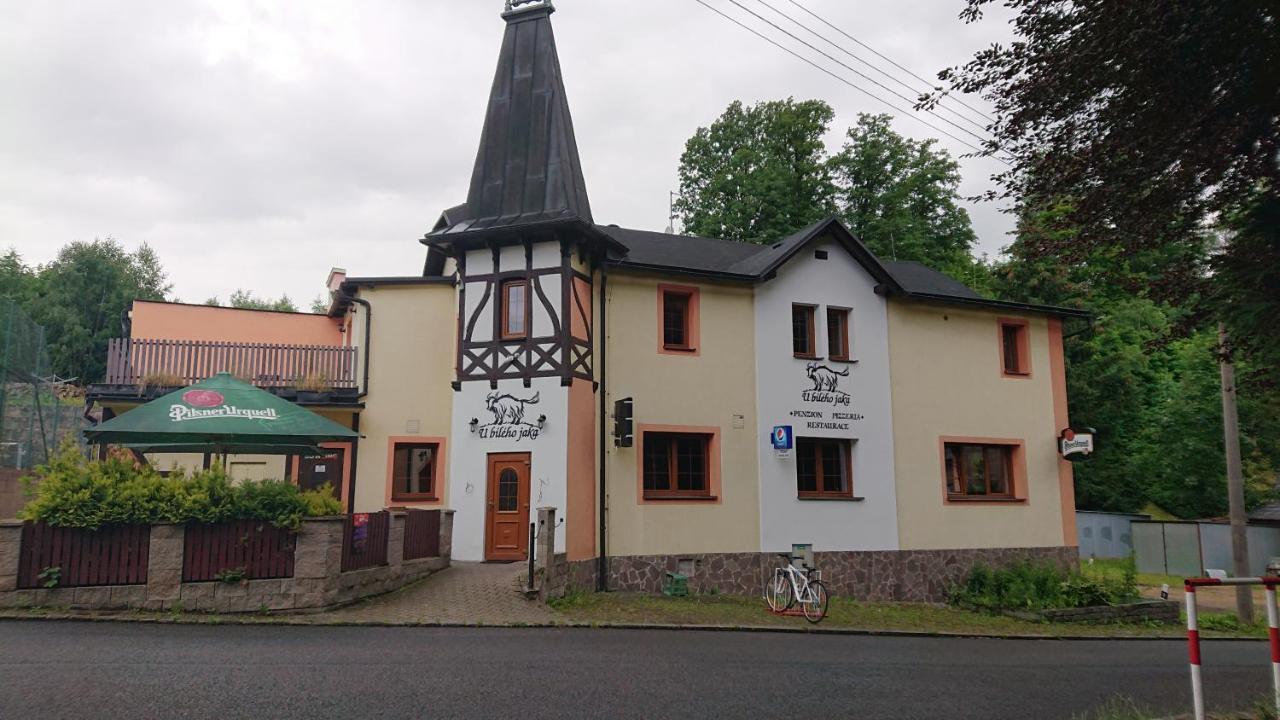 Penzion U Bileho Jaka Vilemov  Kültér fotó